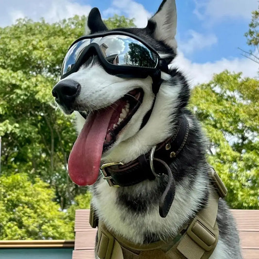 UV-Protection Dog Sunglasses