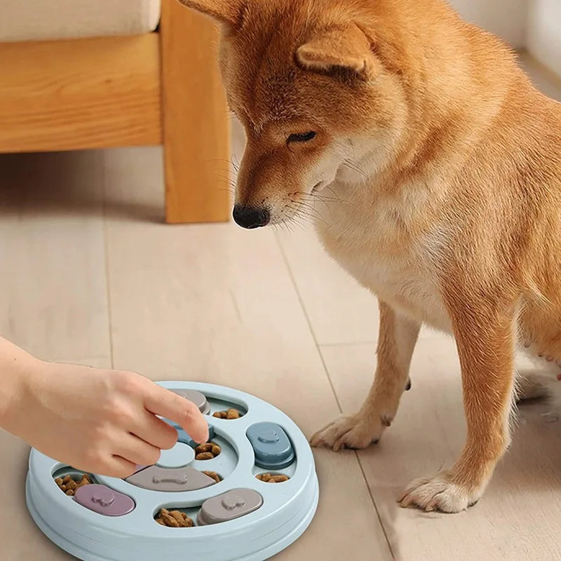 Dog slow feeder puzzle bowl