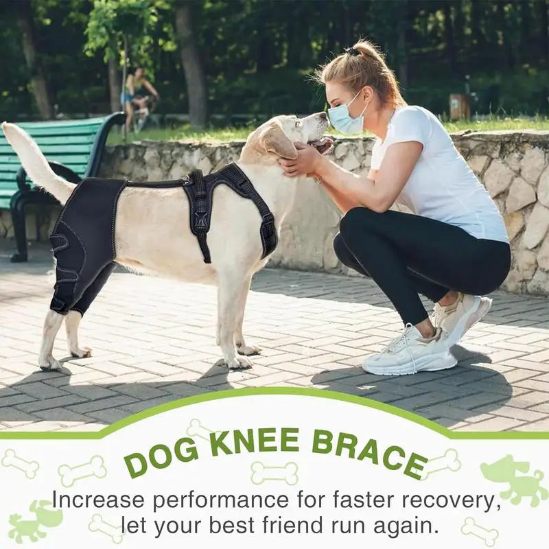 Adjustable neoprene dog knee support brace