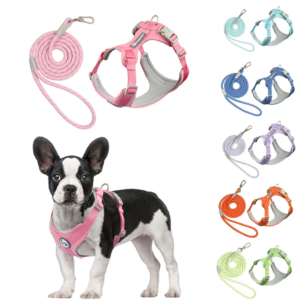 Reflective Breathable Pet Harness and Leash Set