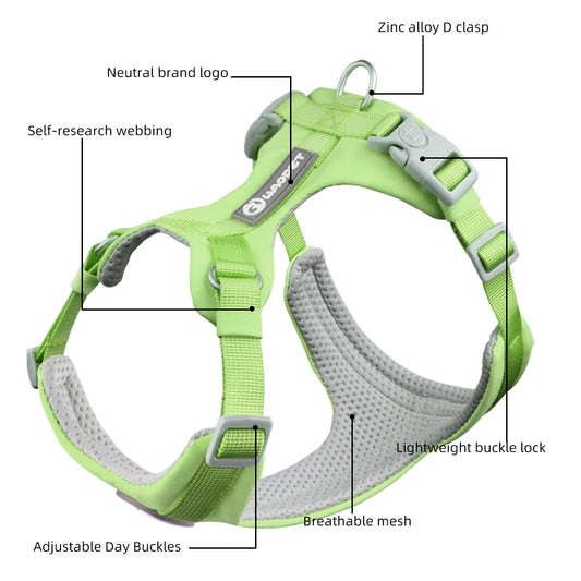 Reflective Breathable Pet Harness and Leash Set