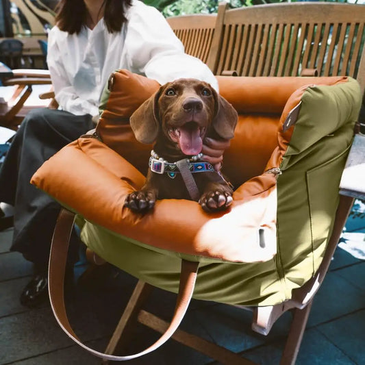 Luxury Faux Leather Pet Car Booster Seat