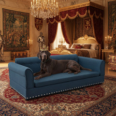 luxury-dog-furniture