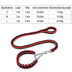 Braided Nylon Dog Collar and Leash Set