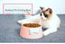 Lovely Bowknot Pet Feeding Bowl