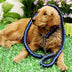 Braided Nylon Dog Collar and Leash Set