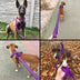 Truelove 200cm Reflective Nylon Training Leash