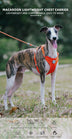 Reflective Breathable Pet Harness and Leash Set