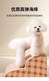 Pet Bedside Stairs & Ramp