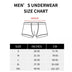 Domestic Cat Portrait Boxer Briefs