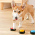 Recordable Pet Training Talking Button