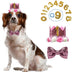 Pet Birthday Crown Hat and Bow Tie Set