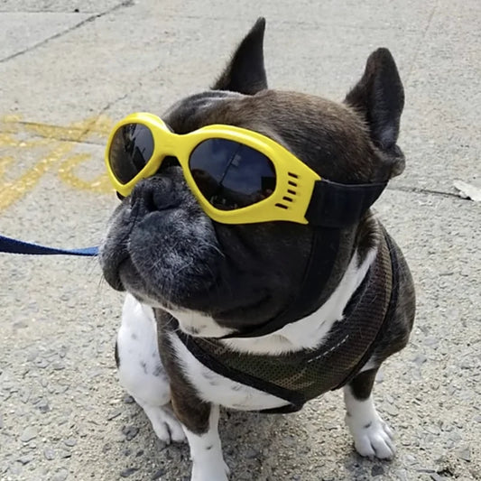 Fold Pet Dog Glasses Lovely Sunglasses Reflection Eye Wear Glasses For Small Dog Cat Pet Photos Pet Products Props Accessories