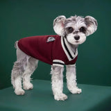 College Style Pet Dog Sweater Winter Warm Dog Clothes for Small Medium Dogs Puppy Cat Vest Chihuahua French Bulldog Yorkie Coat