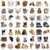 Funny Dog & Cat Meme Sticker Pack (50 Pcs)