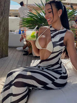 Zebra Print Long Beach Dress Cover-Ups Sexy Transparent Mesh Maxi Dress Striped Cut Out Bodycon Vacation Summer Dress Women 2023