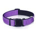 Padded Reflective Dog Collar