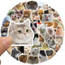 Funny Dog & Cat Meme Sticker Pack (50 Pcs)