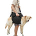Dog lift support sling harness for a senior dog