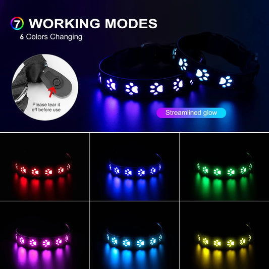 7-Mode LED Light Up Dog Collar