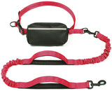 Free Dog Leash with Zipper Pouch, Dual Padded Handles Running Leash for Medium and Large Dog, Retractable Bungee Waist Dog Leash