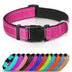 Padded Reflective Dog Collar