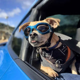 Fold Pet Dog Glasses Lovely Sunglasses Reflection Eye Wear Glasses For Small Dog Cat Pet Photos Pet Products Props Accessories