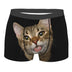 Domestic Cat Portrait Boxer Briefs