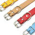 Solid Color Leather Pet Collar