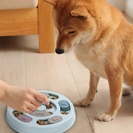 Dog slow feeder puzzle bowl