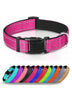 Padded Reflective Dog Collar