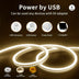 Dimmable LED Neon Light Strip
