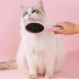 Double-Sided Pet Grooming Brush