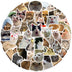 Funny Dog & Cat Meme Sticker Pack (50 Pcs)
