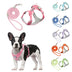 Reflective Breathable Pet Harness and Leash Set