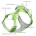 Reflective Breathable Pet Harness and Leash Set