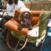 Luxury Faux Leather Pet Car Booster Seat