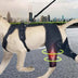 Dog Knee Support Brace