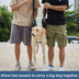 Dog Lift Support Sling