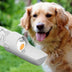 Portable Dog Water Bottle Dispenser