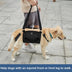 Dog Lift Support Sling