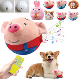 USB Rechargeable Electronic Pet Dog Toy Ball Pet Toy Singing Talking Interactive Ball Dog Plush Bouncing Jump Ball for Gift