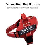 Customized Dog Harness Personalized Reflective Pet Harness For Small Medium Large Dogs Breathable Mesh Pad Dog Harness No Pull