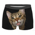 Domestic Cat Portrait Boxer Briefs