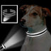 Padded Reflective Dog Collar