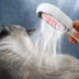 4-in-1 Pet Grooming Brush with Water Tank