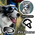 UV-Protection Dog Sunglasses