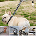 Simulation Plastic Dog Chain Leash