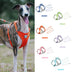 Reflective Breathable Pet Harness and Leash Set