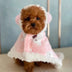 Warm Bear Cape Pet Blanket Coat